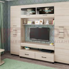 Гостиная Камелия Композиция 10 (Ясень Асахи) в Покачах - pokachi.mebel24.online | фото