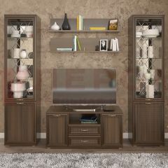 Гостиная Карина Композиция 13 (Акация Молдау) в Покачах - pokachi.mebel24.online | фото