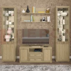 Гостиная Карина Композиция 13 (Гикори Джексон светлый) в Покачах - pokachi.mebel24.online | фото