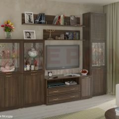 Гостиная Карина Композиция 22 (Акация Молдау) в Покачах - pokachi.mebel24.online | фото
