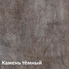 Крафт Полка навесная 15.64 в Покачах - pokachi.mebel24.online | фото 4