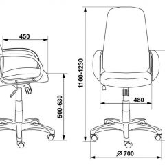 Кресло руководителя Бюрократ CH-808AXSN/G темно-серый 3C1 в Покачах - pokachi.mebel24.online | фото 3