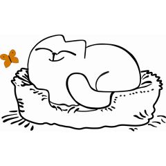 Кровать двухуровневая Кот № 900.1 ЛЕВАЯ (туя светлая/белый) в Покачах - pokachi.mebel24.online | фото 2