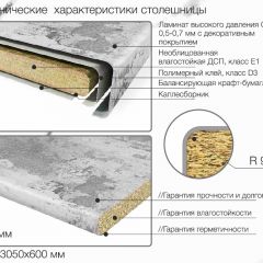 Кухонный фартук со столешницей (А-010) в едином стиле (3050 мм) в Покачах - pokachi.mebel24.online | фото 7