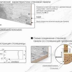 Кухонный фартук со столешницей (А-010) в едином стиле (3050 мм) в Покачах - pokachi.mebel24.online | фото 6