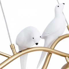 Подвесной светильник Arte Lamp Eltanin A3422SP-4GO в Покачах - pokachi.mebel24.online | фото 4