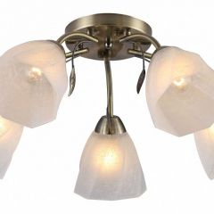 Потолочная люстра Rivoli Olivia Б0052693 в Покачах - pokachi.mebel24.online | фото