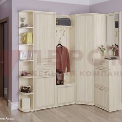 Прихожая Карина композиция 5 (Ясень Асахи) в Покачах - pokachi.mebel24.online | фото