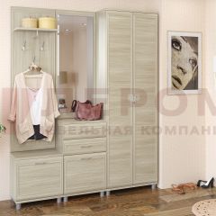 Прихожая Мелисса композиция 11 (Ясень Асахи) в Покачах - pokachi.mebel24.online | фото