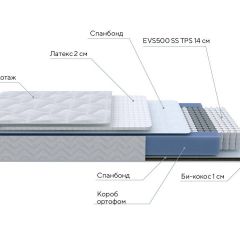 PROxSON Матрас Active Duo S/F (Ткань Трикотаж Эко) 120x190 в Покачах - pokachi.mebel24.online | фото 7