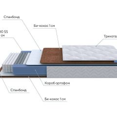 PROxSON Матрас Active F (Ткань Трикотаж Эко) 120x195 в Покачах - pokachi.mebel24.online | фото 7