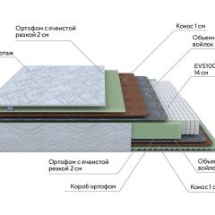 PROxSON Матрас Green M (Tricotage Dream) 120x190 в Покачах - pokachi.mebel24.online | фото 7