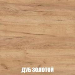 Шкаф 2-х створчатый МСП-1 (Дуб Золотой/Камень темный) в Покачах - pokachi.mebel24.online | фото 4