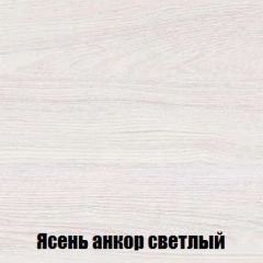 Шкаф 2-х створчатый МСП-1 (Ясень Анкор светлый) в Покачах - pokachi.mebel24.online | фото 4