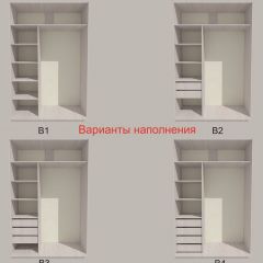 Шкаф-купе 1300 серии SILVER S3+S4+B2+PL4 (2 ящика+F обр.штанга) профиль «Серебро» в Покачах - pokachi.mebel24.online | фото 5