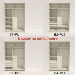 Шкаф-купе 1400 серии SOFT D6+D6+B2+PL3 (2 ящика+2штанги) профиль «Капучино» в Покачах - pokachi.mebel24.online | фото 6