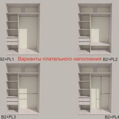 Шкаф-купе 1500 серии SILVER S1+S1+B2+PL2 (2 ящика+1 штанга+1 полка) профиль «Серебро» в Покачах - pokachi.mebel24.online | фото 6