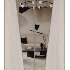 Шкаф-купе 1500 серии SILVER S1+S1+B2+PL2 (2 ящика+1 штанга+1 полка) профиль «Серебро» в Покачах - pokachi.mebel24.online | фото 12