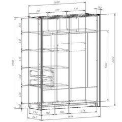 Шкаф-купе 1600 с плитой 22 мм ЛИБЕРТИ в Покачах - pokachi.mebel24.online | фото 4