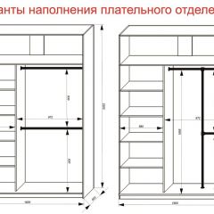Шкаф-купе 1600 серии SOFT D6+D4+B2+PL2 (2 ящика+1штанга+1 полка) профиль «Капучино» в Покачах - pokachi.mebel24.online | фото 9