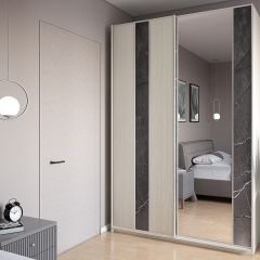 Шкаф-купе 1700 серии SILVER S4+S3Z+B2+PL1 (2 ящика+1 штанга) профиль «Серебро» в Покачах - pokachi.mebel24.online | фото