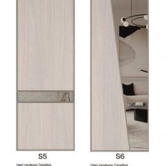 Шкаф-купе 1950 серии SILVER S3+S1+S4 B22+PL3 (по 2 ящика лев/прав+2 штанги) профиль «Серебро» в Покачах - pokachi.mebel24.online | фото 14