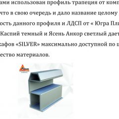Шкаф-купе 1950 серии SILVER S3+S1+S4 B22+PL3 (по 2 ящика лев/прав+2 штанги) профиль «Серебро» в Покачах - pokachi.mebel24.online | фото 4