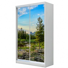 Шкаф-купе ХИТ 22-14-77 (620) в Покачах - pokachi.mebel24.online | фото 5