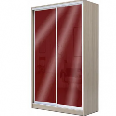 Шкаф-купе ХИТ 22-17-22 (620) в Покачах - pokachi.mebel24.online | фото 8
