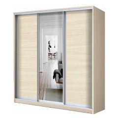 Шкаф-купе ХИТ 22-4-18-151 (420) в Покачах - pokachi.mebel24.online | фото 5