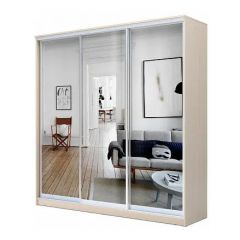 Шкаф-купе ХИТ 22-4-18-555 (420) в Покачах - pokachi.mebel24.online | фото 5