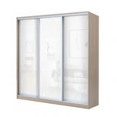 Шкаф-купе ХИТ 22-4-18-888 (420) в Покачах - pokachi.mebel24.online | фото 6