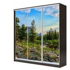 Шкаф-купе ХИТ 23-4-18-777 (420) в Покачах - pokachi.mebel24.online | фото 1