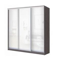 Шкаф-купе ХИТ 23-4-18-888 (420) в Покачах - pokachi.mebel24.online | фото