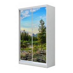 Шкаф-купе ХИТ 24-4-17-77 (420) в Покачах - pokachi.mebel24.online | фото