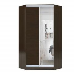 Шкаф-купе ХИТ-У-L-23-64-15 в Покачах - pokachi.mebel24.online | фото