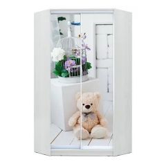 Шкаф-купе ХИТ-У-L-23-64-77 в Покачах - pokachi.mebel24.online | фото