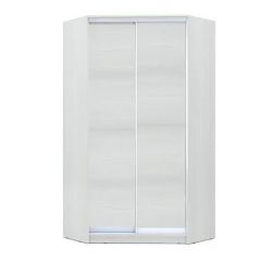 Шкаф-купе ХИТ-У-L-24-64-11 в Покачах - pokachi.mebel24.online | фото