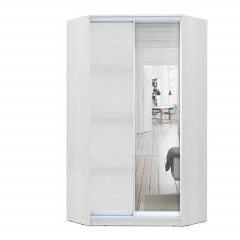 Шкаф-купе ХИТ-У-R-24-64-15 в Покачах - pokachi.mebel24.online | фото