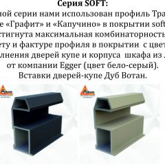 Шкаф-купе 1400 серии SOFT D1+D3+B2+PL1 (2 ящика+1штанга) профиль «Графит» в Покачах - pokachi.mebel24.online | фото 5