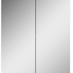 Шкаф-зеркало Норма 45 2 двери АЙСБЕРГ (DA1635HZ) в Покачах - pokachi.mebel24.online | фото 4