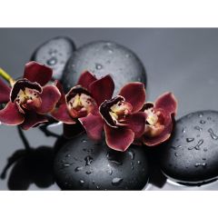Стол обеденный Бостон Ст101.1 орхидеи в Покачах - pokachi.mebel24.online | фото 3