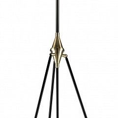 Светильник на штанге Lightstar Modena 816047 в Покачах - pokachi.mebel24.online | фото