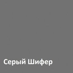 Юнона Шкаф торцевой 13.221 в Покачах - pokachi.mebel24.online | фото 2