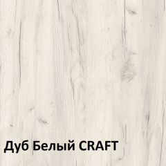 Юнона Шкаф торцевой 13.221 в Покачах - pokachi.mebel24.online | фото 3