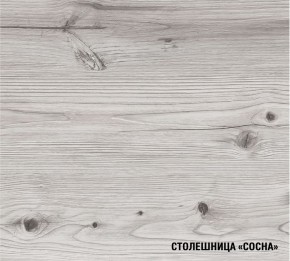 АСАЯ Кухонный гарнитур Экстра (3000 мм) в Покачах - pokachi.mebel24.online | фото 8