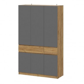 АВИНЬОН Прихожая Шкаф 3-х створчатый с ящиками в Покачах - pokachi.mebel24.online | фото