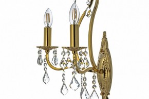 Бра Arti Lampadari Ercolano Ercolano E 2.1.2.602 G в Покачах - pokachi.mebel24.online | фото 6