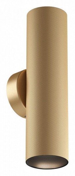Бра Maytoni Artisan C080WL-02-GU10-MG в Покачах - pokachi.mebel24.online | фото