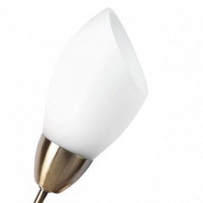Бра MW-Light Нежность 7 356023001 в Покачах - pokachi.mebel24.online | фото 2